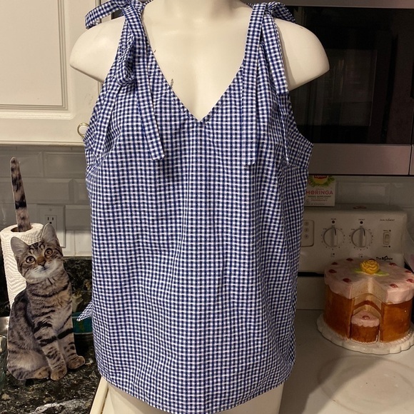Kenar Tops - C womens Kenar casual blue check sleeveless top XL.  EUC